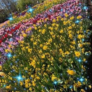 Meet your Posher, Haritha